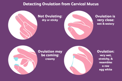 À quoi ressemble la glaire cervicale lorsque vous êtes fertile