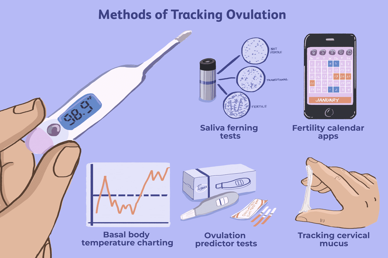 méthodes de suivi de l'ovulation