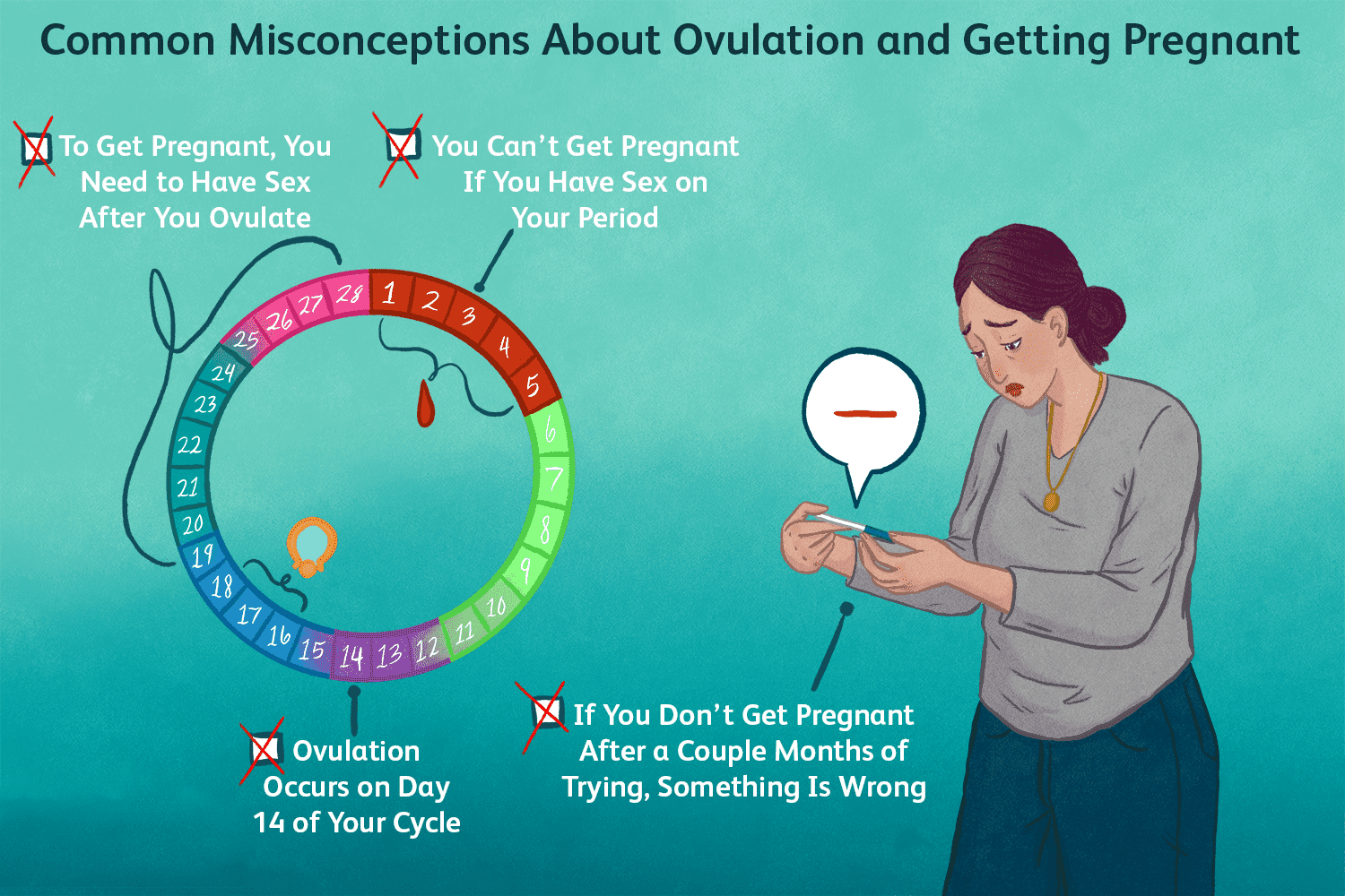 13 vérités sur la grossesse et l’ovulation