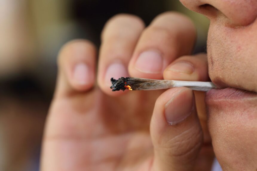 Comment le cannabis affecte les spermatozoïdes
